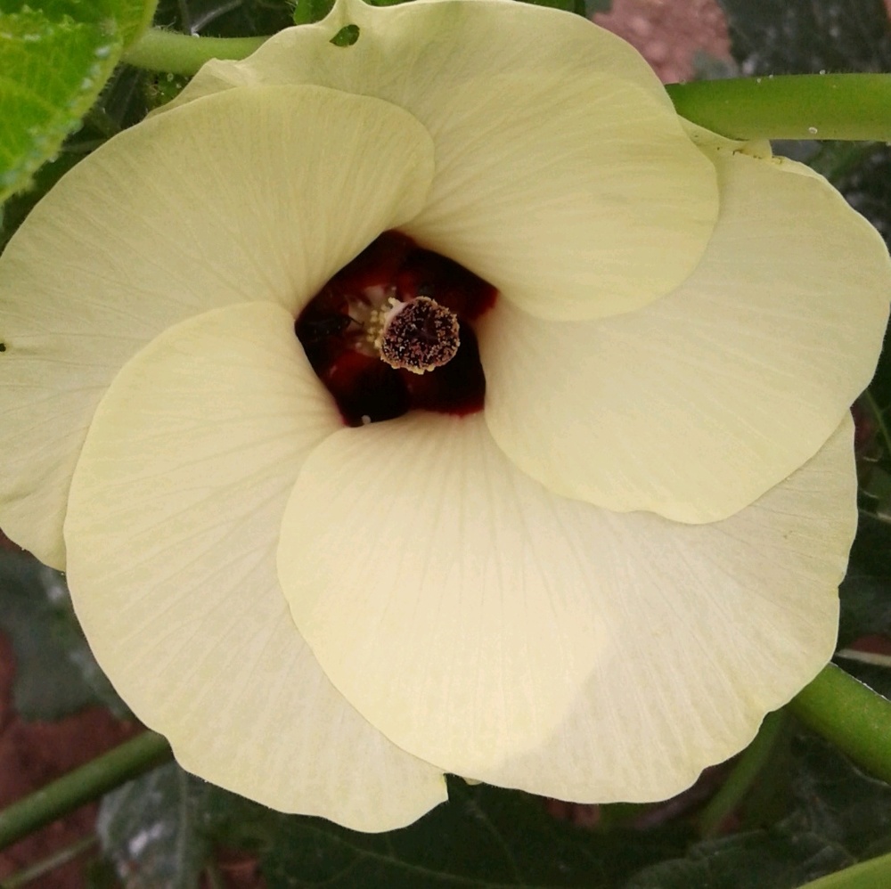 Meet your Posher, Nikki